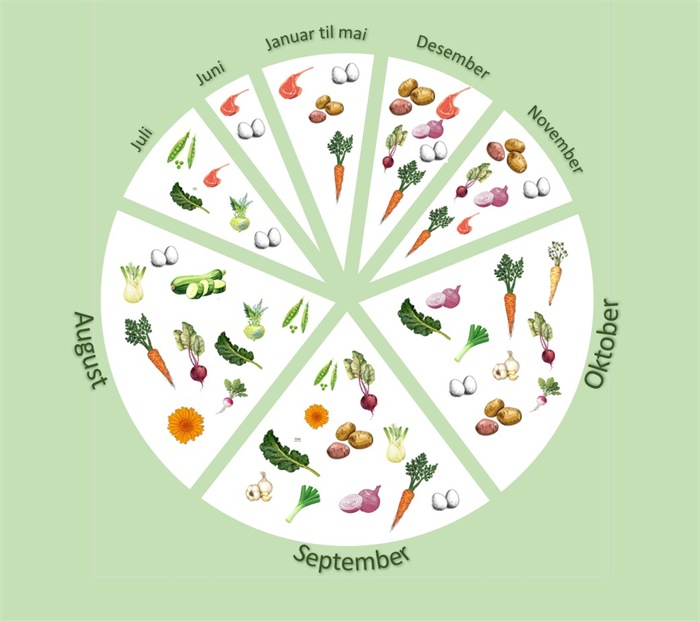 Årshjul for sesonggrønnsaker Illustrert årshjul som viser når ulike grønnsaker er tilgjengelige gjennom året