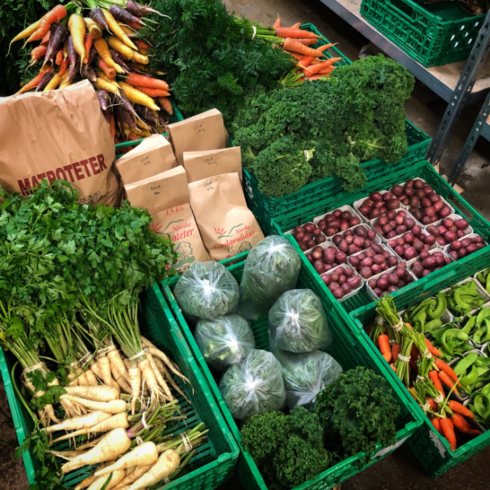 Grønnsaker for bedrifter Kasser med ferske grønnsaker fra gården, blant annet gulrøtter, grønnkål, poteter og persillerot