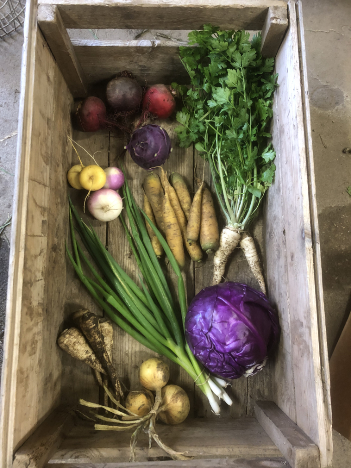 gronnsakerGrønnsaker fra gården-fra-garden-trekasse Trekasse med ferske grønnsaker fra gården, blant annet kål, gulrøtter og vårløk