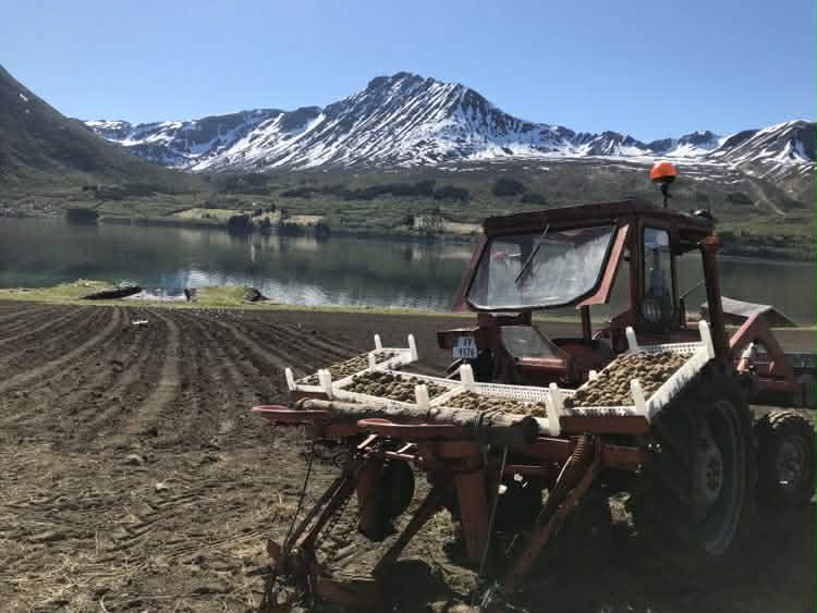 Potetsetting ved fjorden Traktor som setter poteter på jordet med fjell og fjord i bakgrunnen